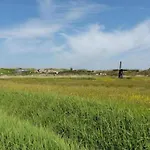 Beautiful In Near