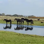 Beautiful In Near