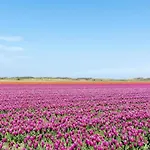 Apartamento Beautiful In Near *