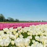 Beautiful In Near