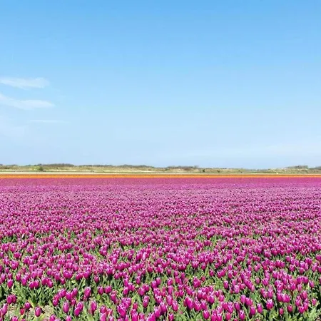 Lägenhet Beautiful In Near *