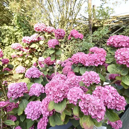 Lägenhet Beautiful In Near