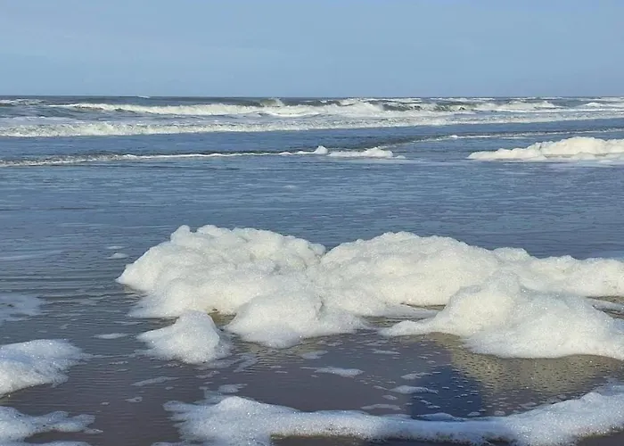 Apartment Beautiful In Near *