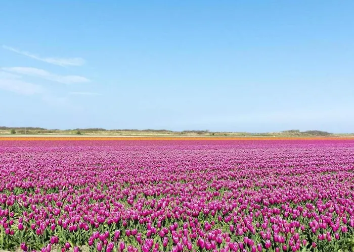 Apartment Beautiful In Near *