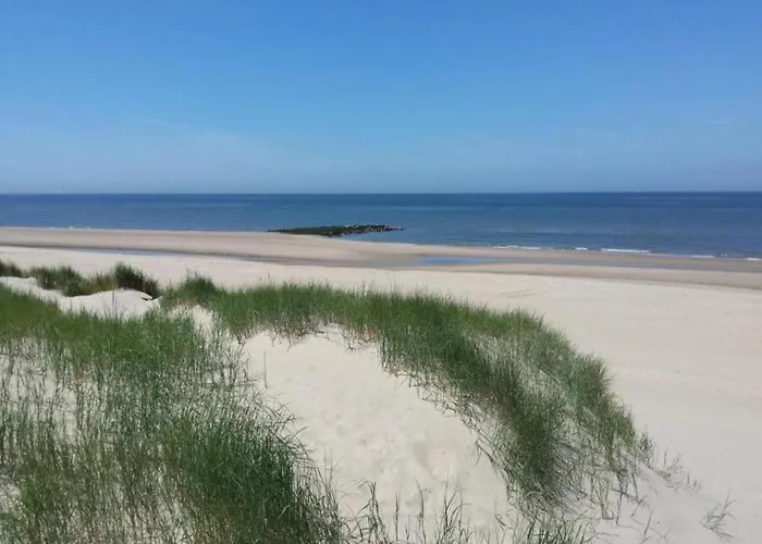 Beautiful In Near Callantsoog