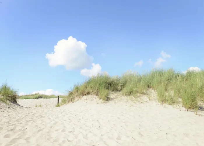 Beautiful In Near Apartamento