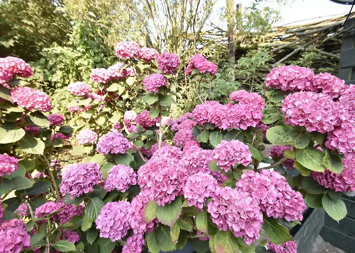 Apartamento Beautiful In Near